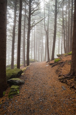 Pocono Mountains